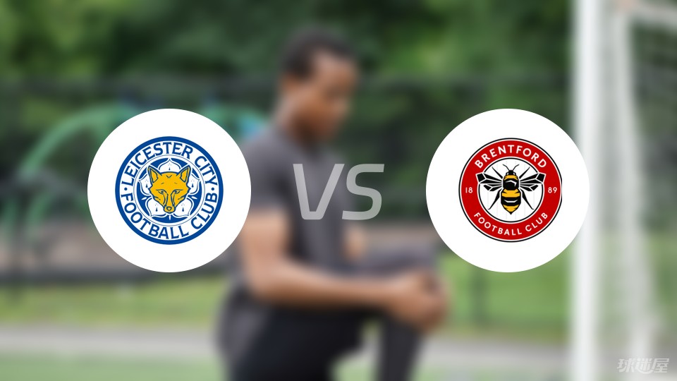 球队战术执行率创新高，胜率提升